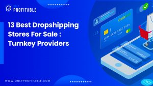 turnkey-dropshipping-stores-for-sale